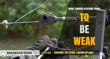 Electric Fence Weakness: Common Causes and Solutions