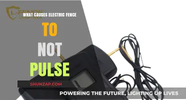 Troubleshooting Electric Fences: Why No Pulse?