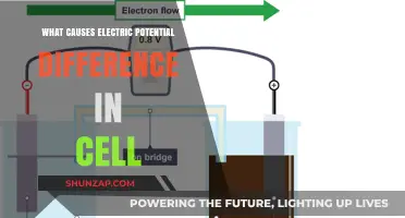 How Electric Potential Difference Powers Cells