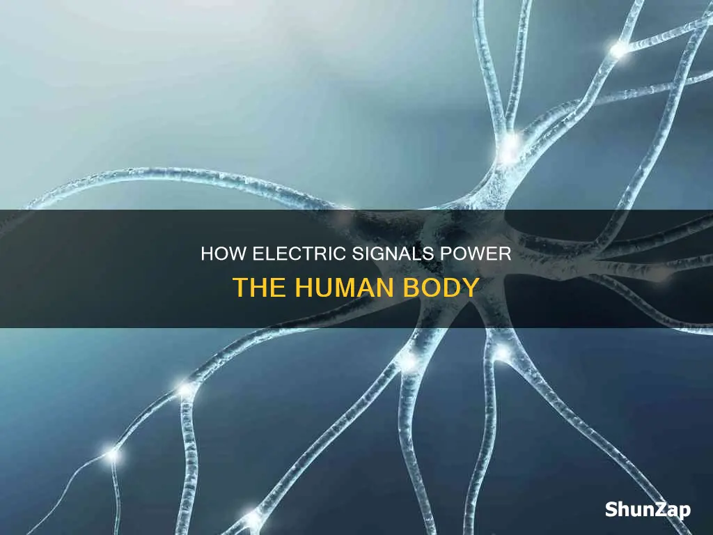 what causes electric signals in the body