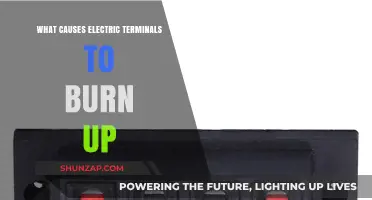 Electric Terminals Burning: Causes and Prevention