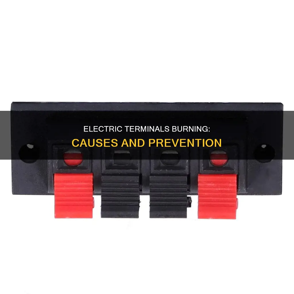 what causes electric terminals to burn up