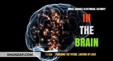 Brain Electricity: Unlocking the Mind's Power Source