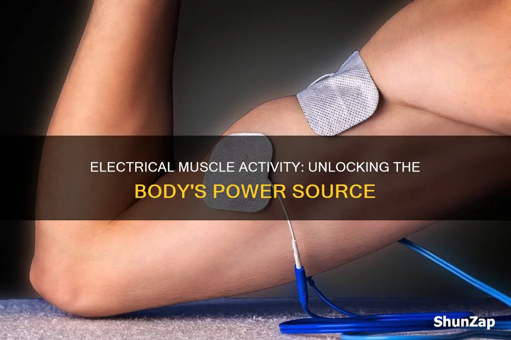 what causes electrical activity in the muscle