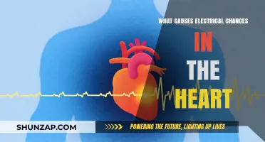Heart's Electrical Changes: Causes and Triggers