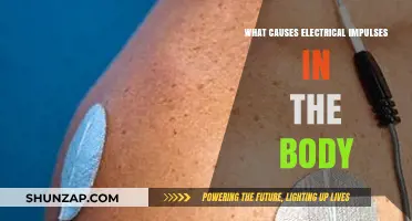Electrical Impulses: Powering the Human Body