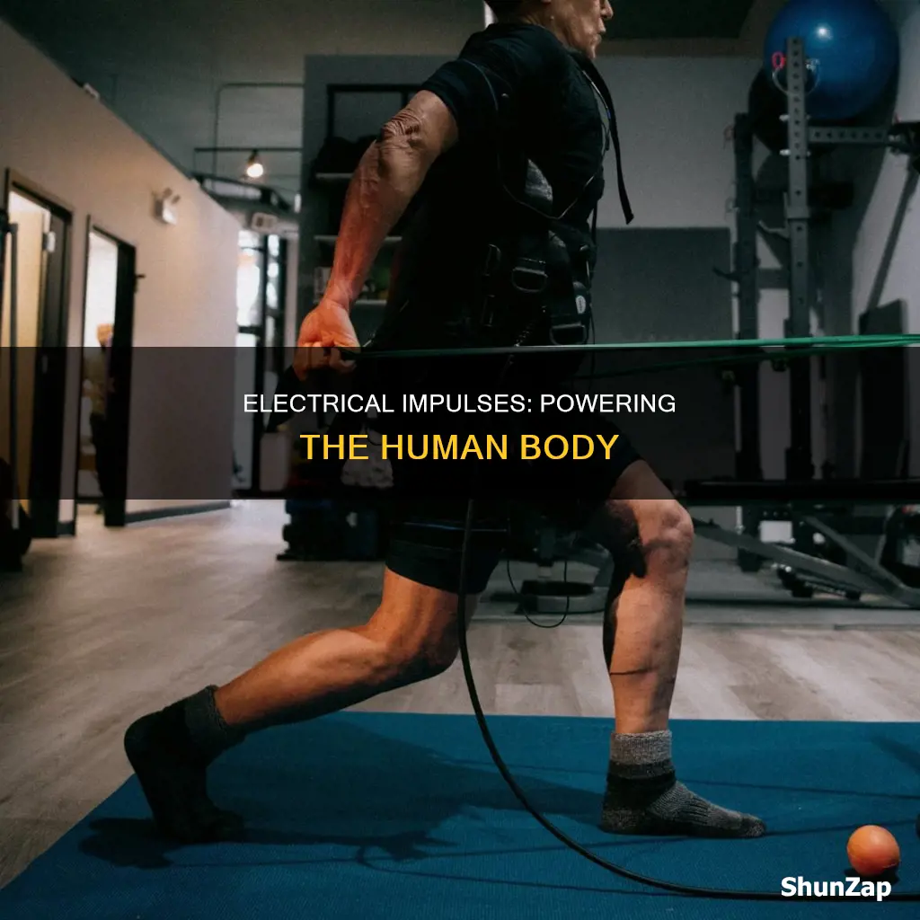 what causes electrical impulses in the body
