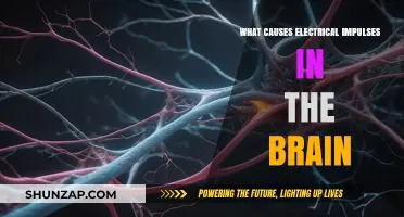 Electrical Brain Impulses: What Triggers Them?