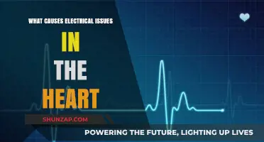 Electrical Heart Issues: Causes and Triggers