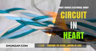 Heart Electrical Short Circuits: Causes and Effects