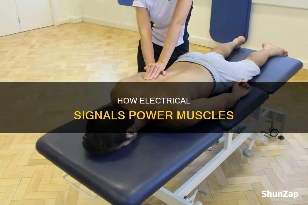 what causes electrical signals in muscle tissue