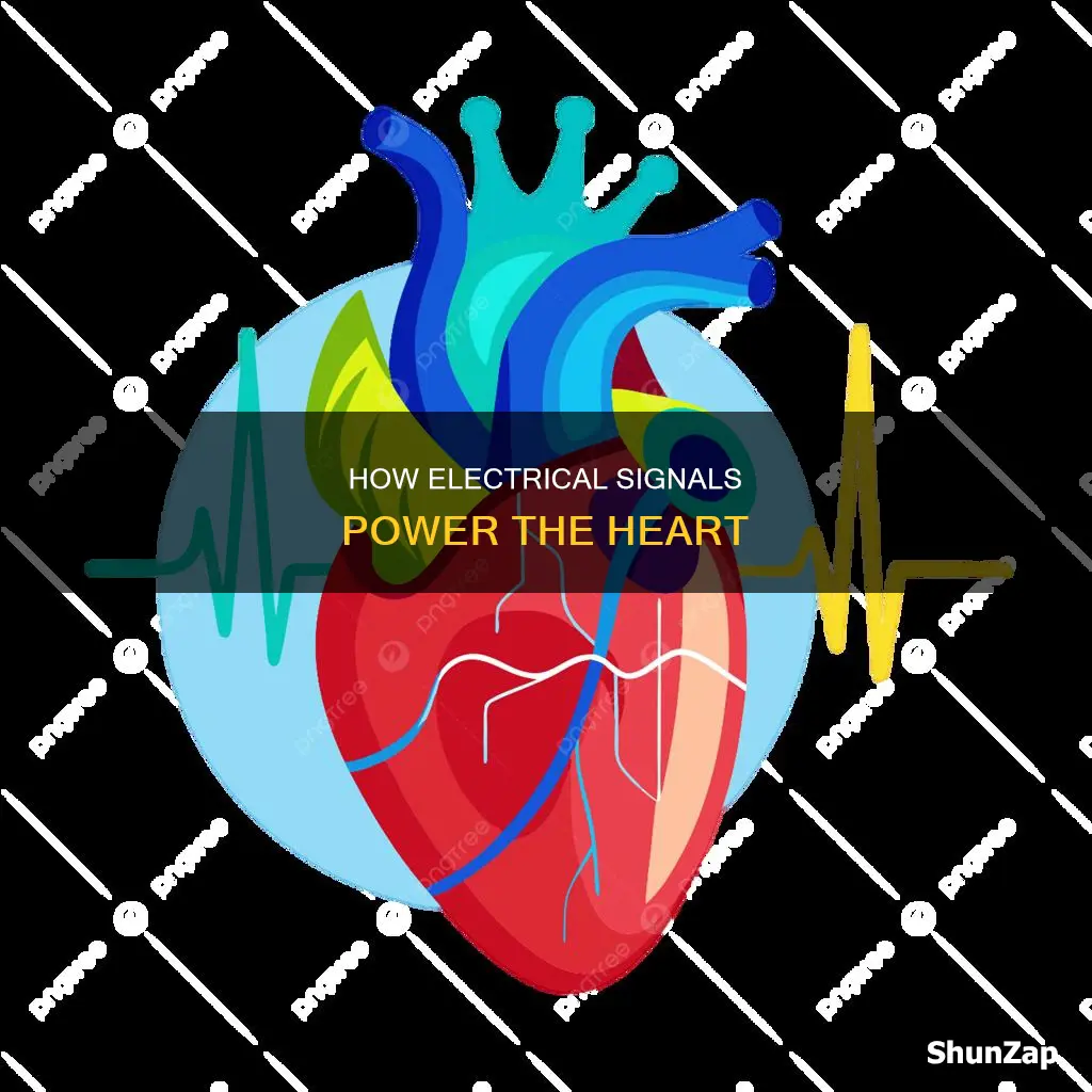 what causes electrical signals to the heart