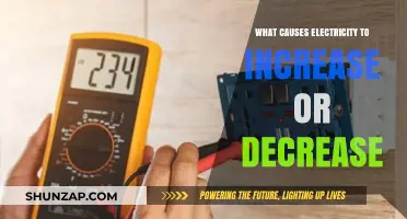 Electricity's ebb and flow: Understanding the causes