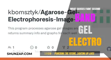 Gel Electrophoresis: Why Faint Second Bands Appear