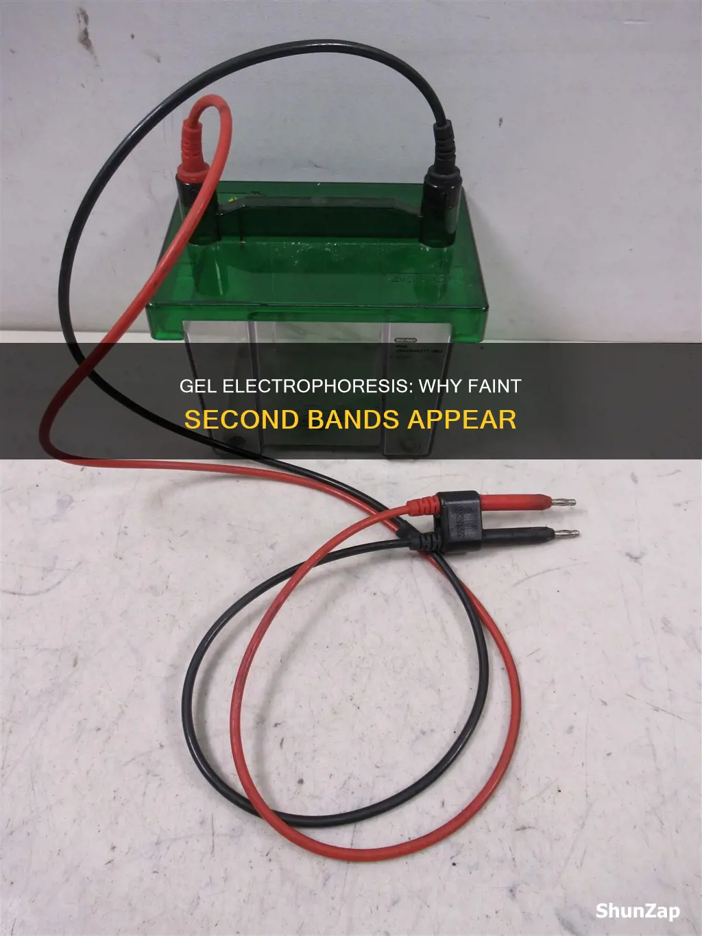what causes faint second band gel electro