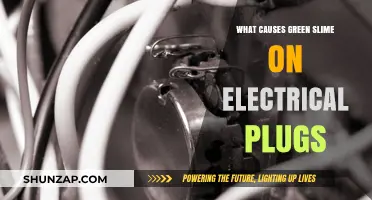 Green Slime on Electrical Plugs: What's the Cause?
