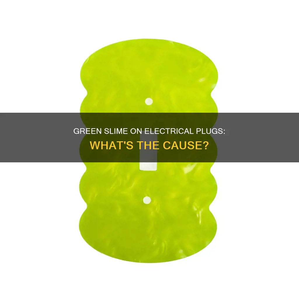 what causes green slime on electrical plugs