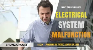 Heart's Electrical System: What Causes Malfunctions?