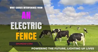 Electric Fence Interference: What's the Culprit?