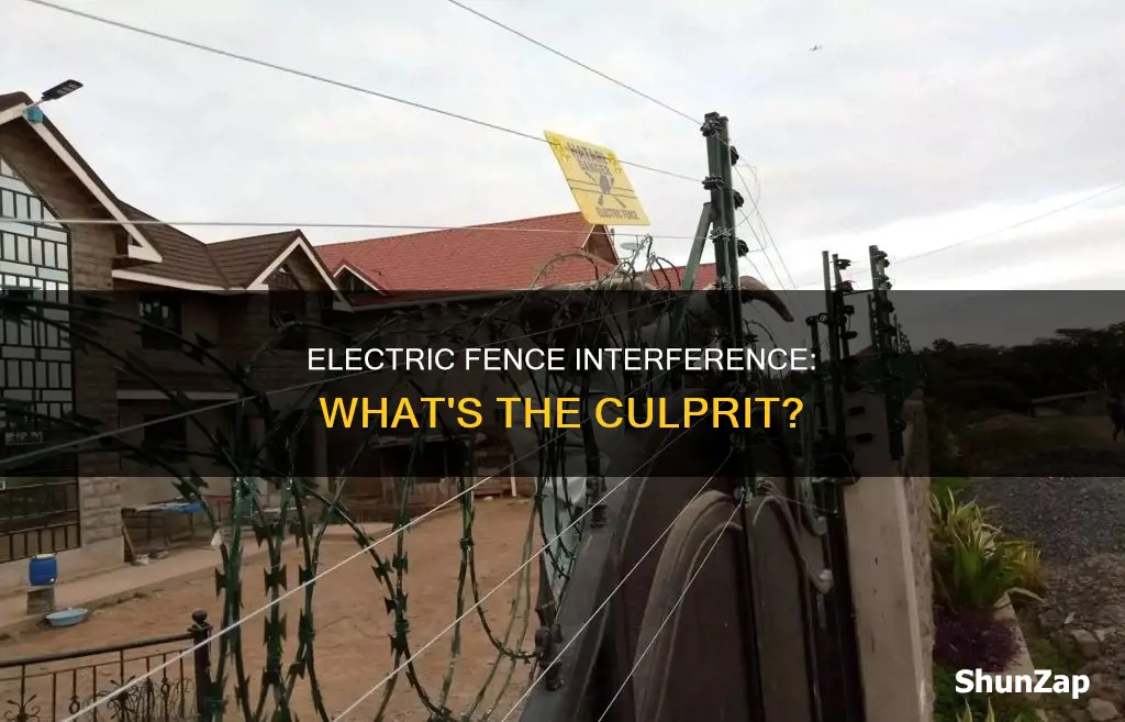 what causes interference from an electric fence