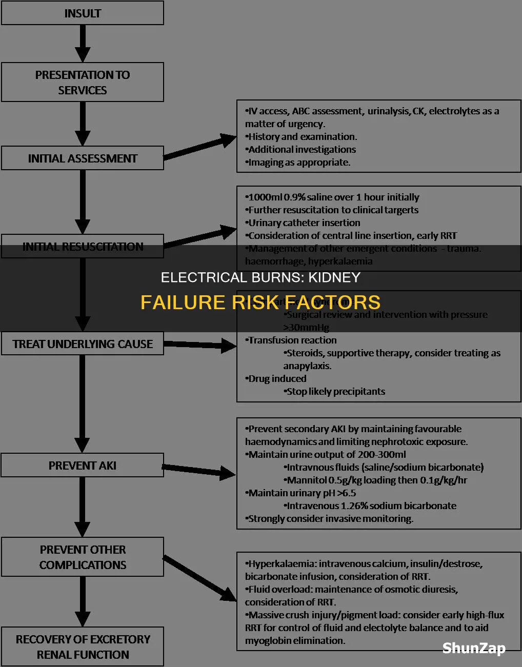 what causes renal failure after electrical burns