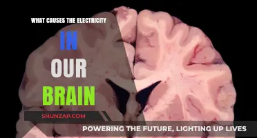 Brain Electricity: What Powers Our Thoughts?