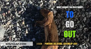 Unexpected Power Outages: What Triggers Them?