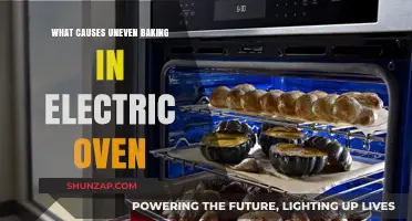 Uneven Baking: Electric Oven Issues and Solutions