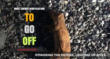 Electricity Outages: Causes and Prevention