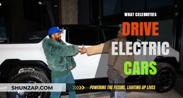 Celebrities Leading the Charge: Electric Cars in the Spotlight