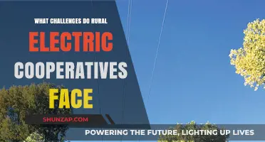 Electric Cooperatives: Challenges in Rural Areas