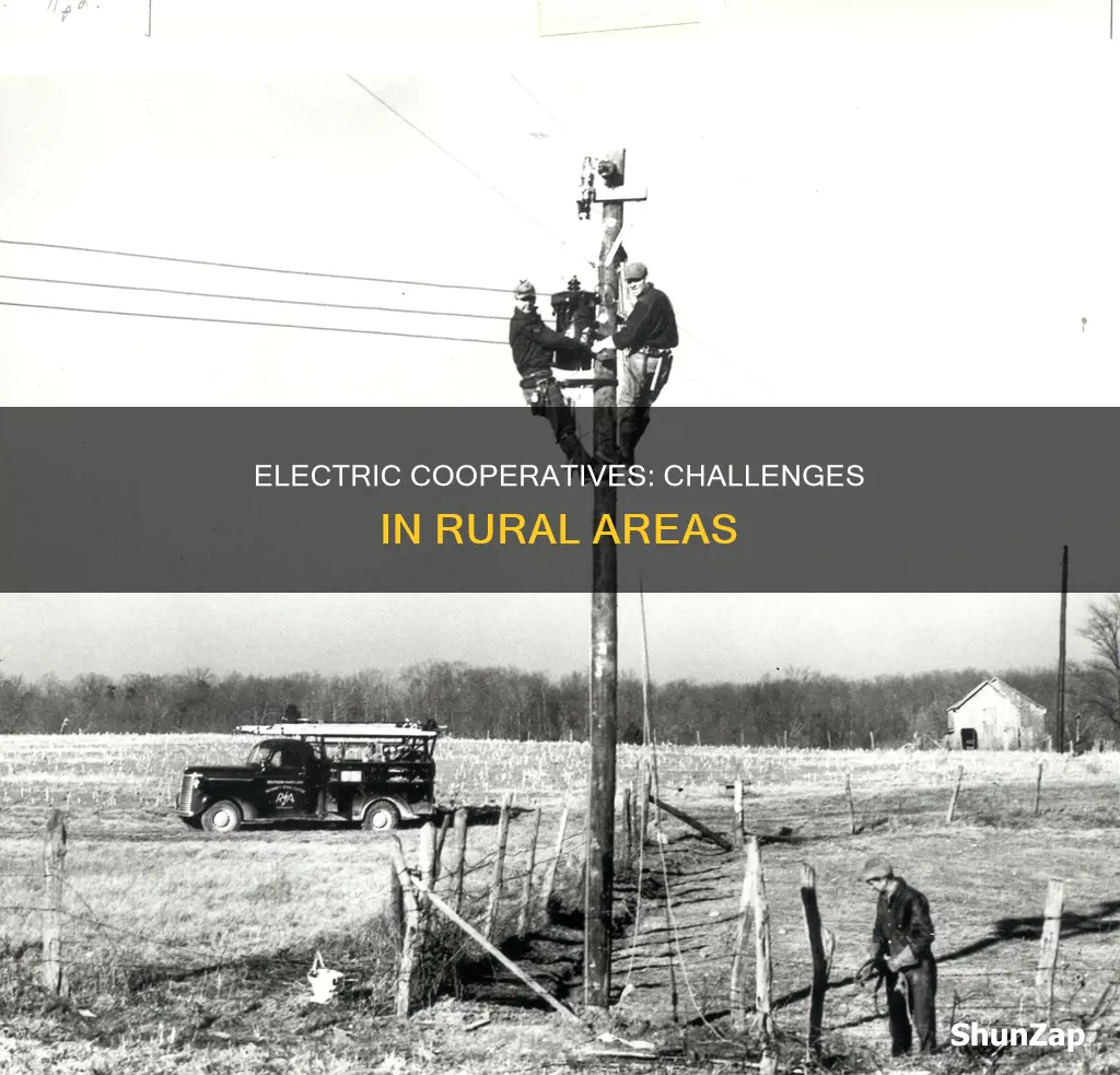 what challenges do rural electric cooperatives face