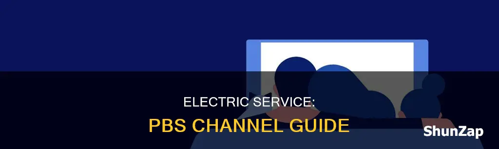 what channel is pbs on service electric