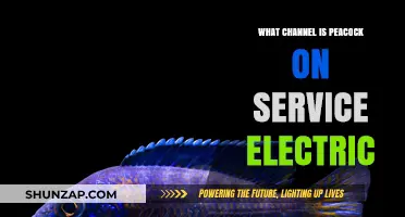 Peacock Channel Availability on Service Electric: Where to Watch?