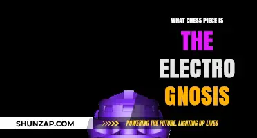 The Intriguing Mind Game: Chess and Electro Gnosis