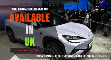 Exploring Chinese Electric Cars Now Available in the UK Market