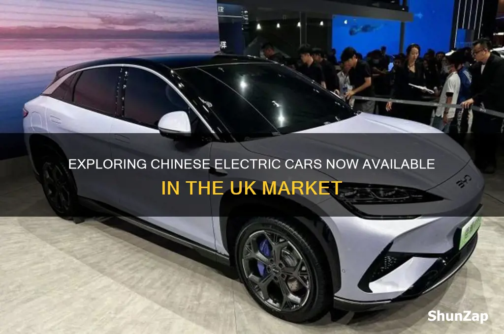 what chinese electric cars are available in uk