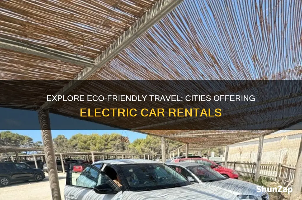 what cities offer electric car rental