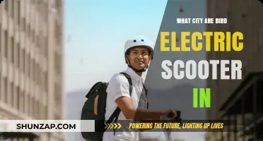 Where to Find Bird Electric Scooters?