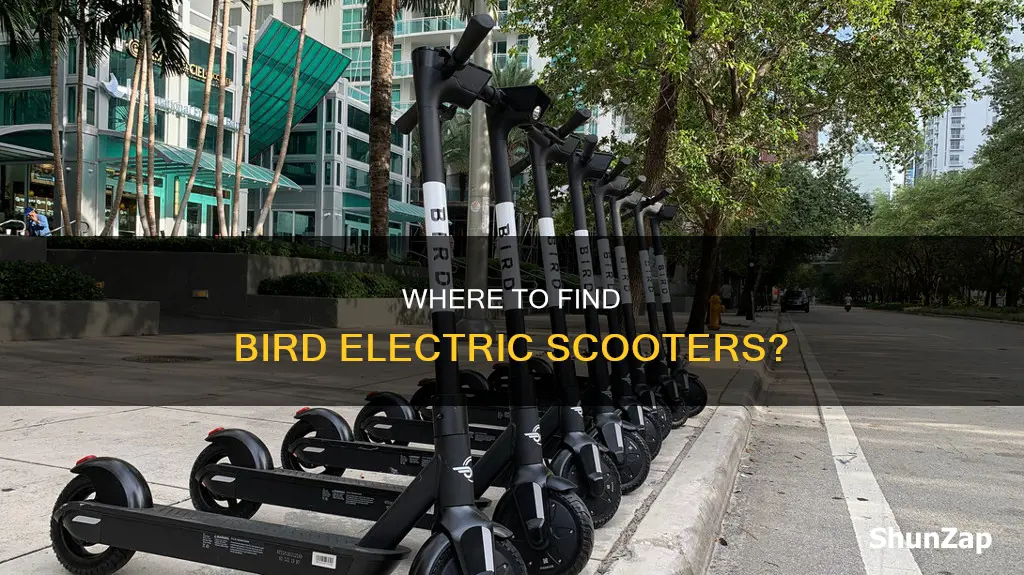 what city are bird electric scooter in