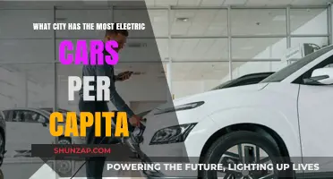 Leading the Charge: Which City Tops Electric Car Ownership Per Capita?