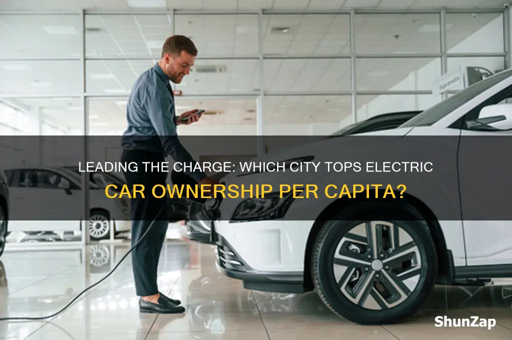 what city has the most electric cars per capita