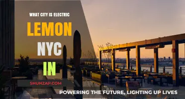 Electric Lemon: NYC's City-Centric Dining Experience