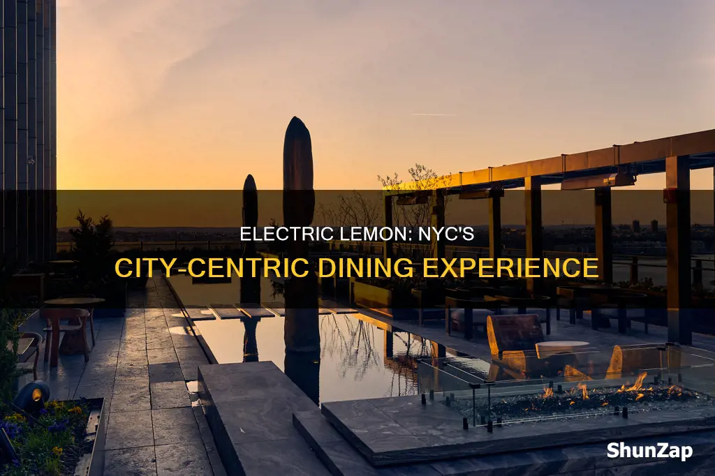 what city is electric lemon nyc in