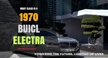 Luxury and Class: 1970 Buick Electra