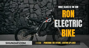 The Sun Ron Electric Bike: A Classy, Powerful Ride