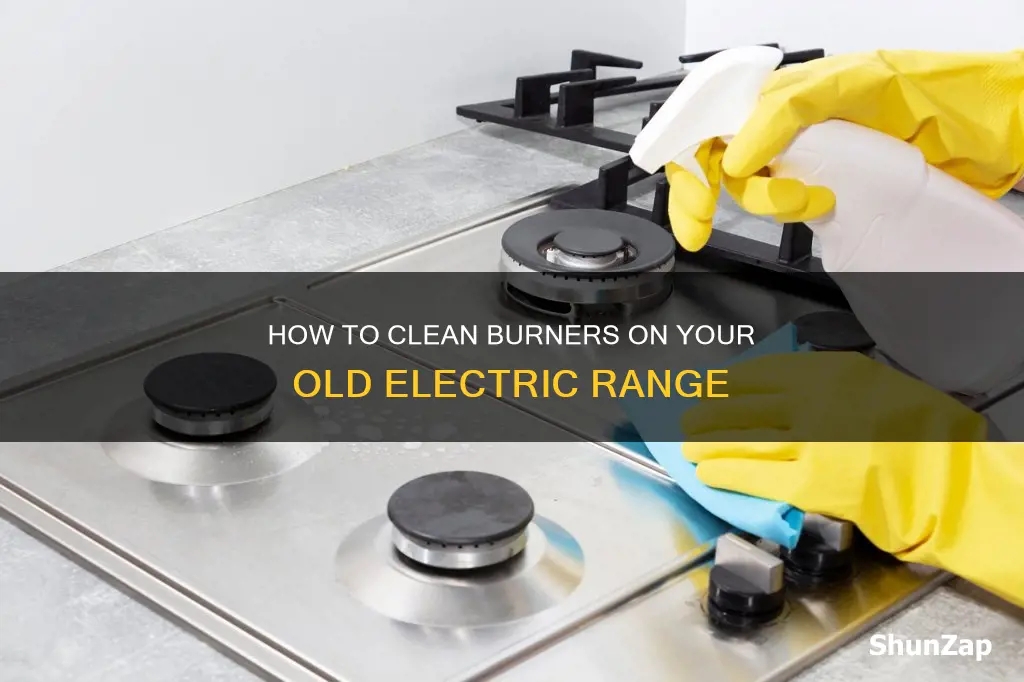 what cleans burners on older electric ranges