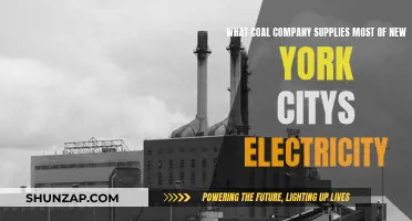 Who Powers New York City? Coal's Electricity Supplier