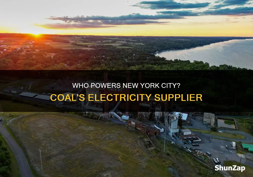 what coal company supplies most of new york citys electricity