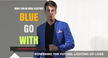Electric Blue Color Combinations: What Pairs Best?